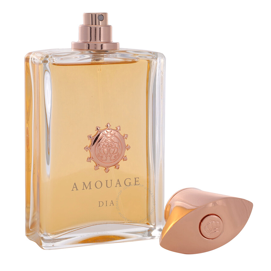 Amouage Men's Dia Edp Spray 3.4 oz (100 Ml) In Plum