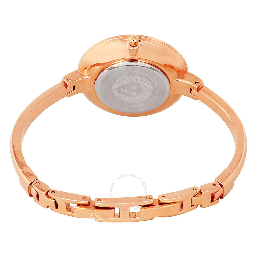 Anne Klein Mother of Pearl Dial Rose Gold Ladies Watch and Accessories