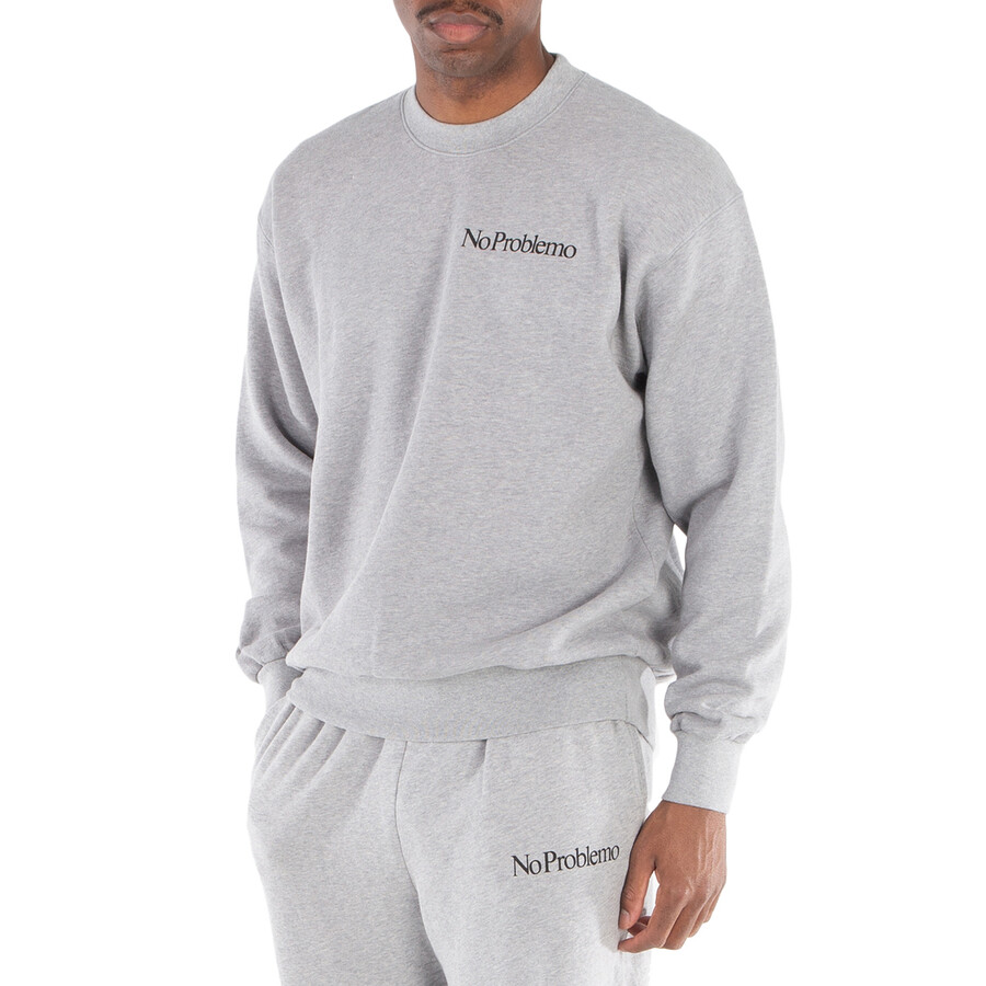 Aries Mini Problemo Crewneck Sweatshirt In Grey
