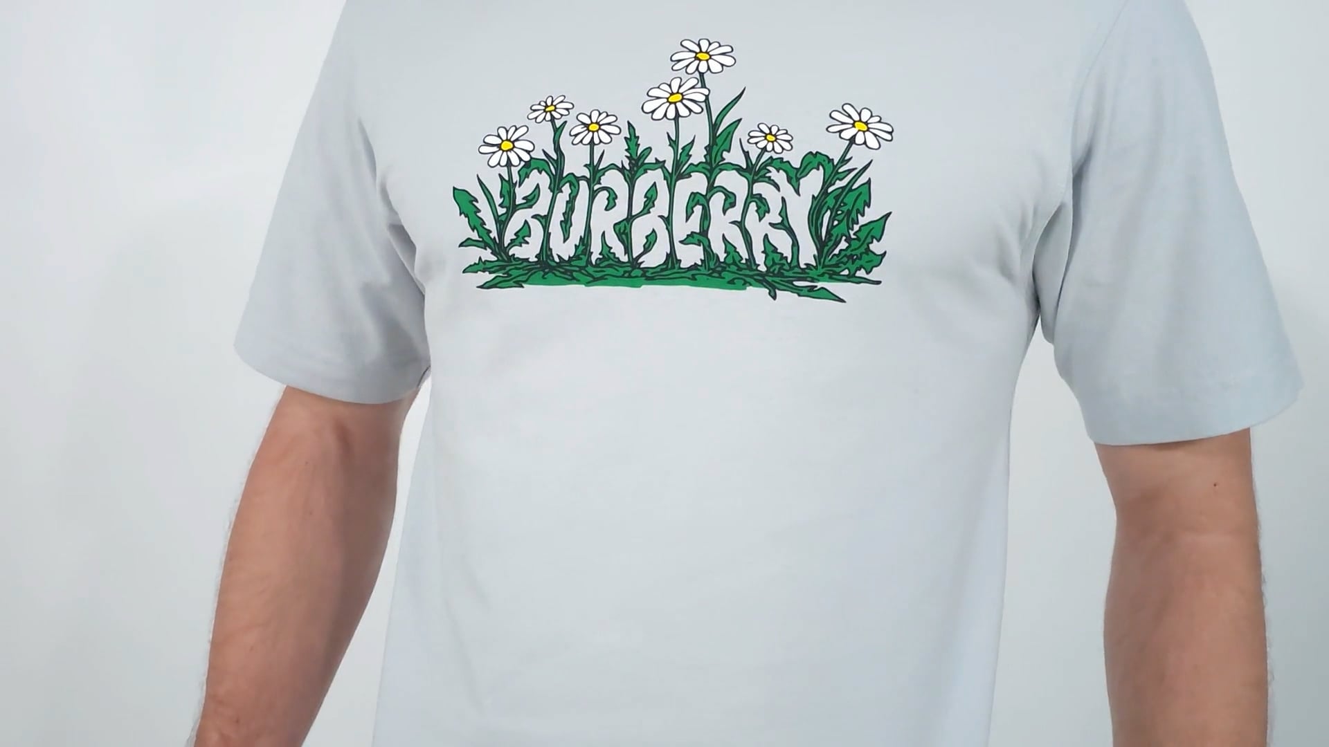 Burberry Daisy Logo Print Cotton T Shirt, Size Medium 8104901