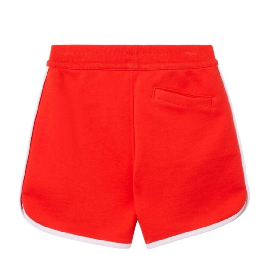 Burberry Little Boy's & Boy's Malcolm Varsity Shorts In Red
