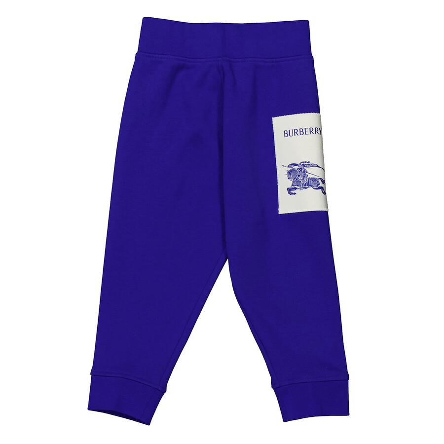Burberry Kids Sidney Ekd Label Track Pants In Blue