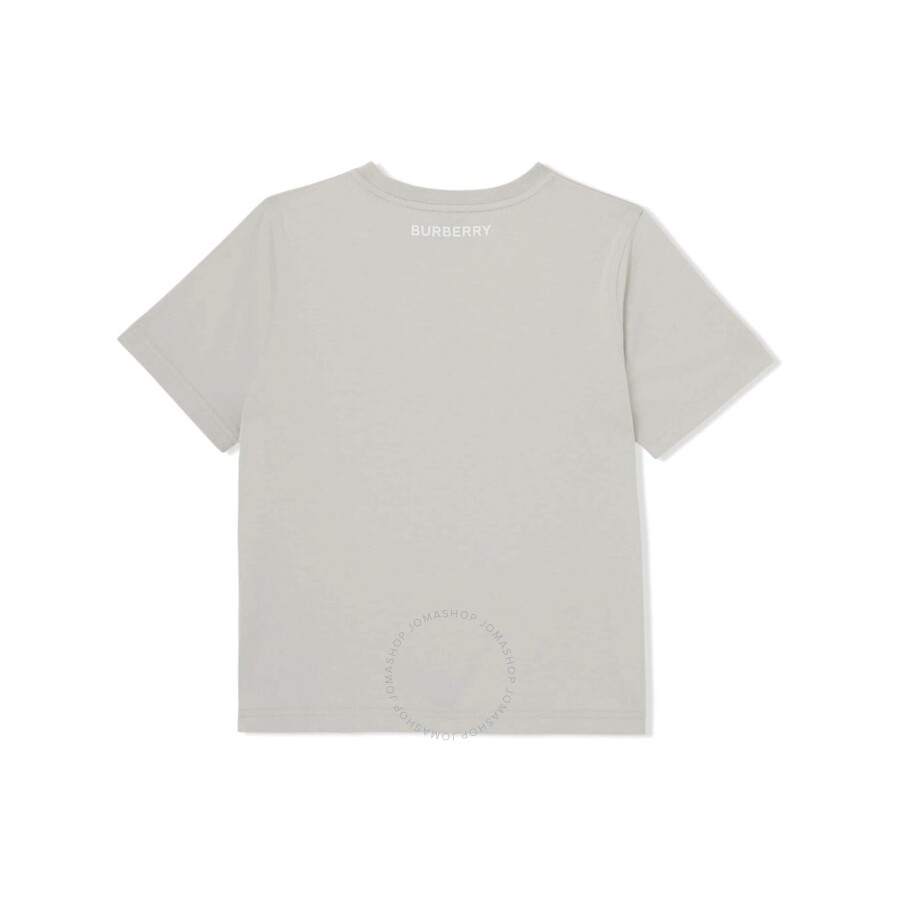 Burberry Boys Grey & Beige Check T-shirt In Grey/silver Tone