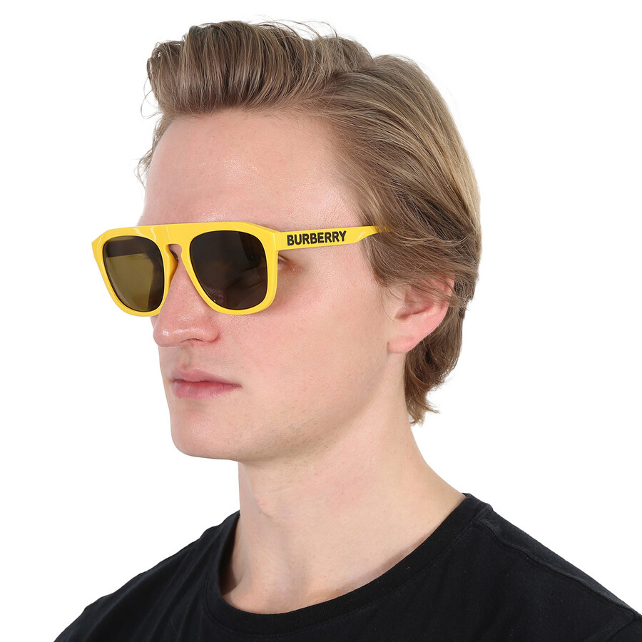 Burberry Wren Brown Browline Men's Sunglasses Be4396u 407073 57 In Brown / Yellow