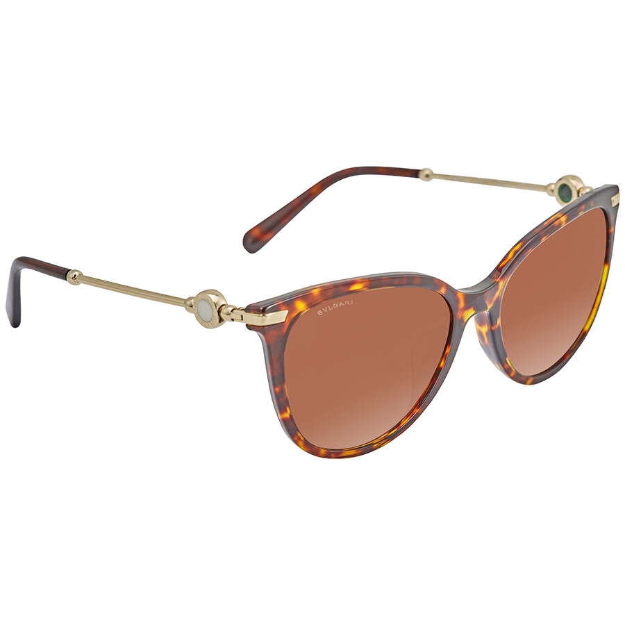 Bvlgari Oval Ladies Sunglasses BV8206F 50413 55 8053672904451