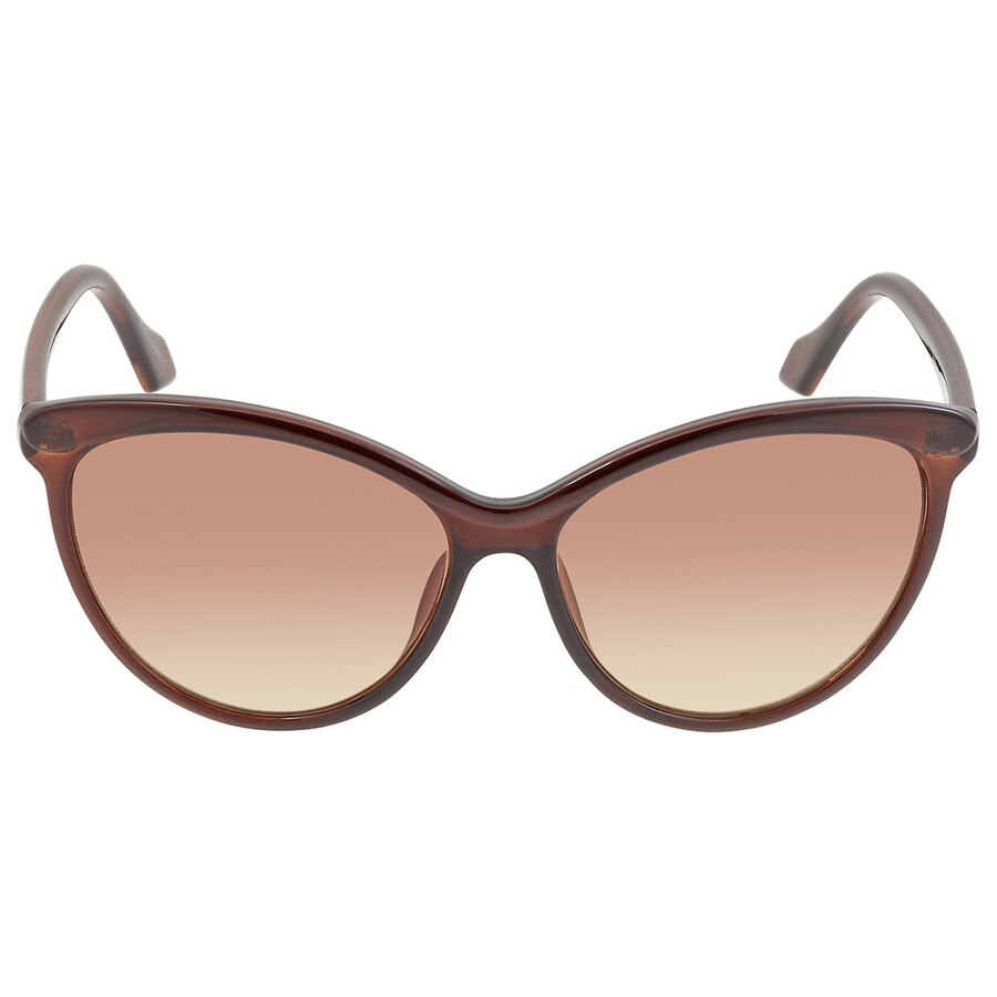 Shop Calvin Klein Brown Cat Eye Ladies Sunglasses Ck19534s 210 58