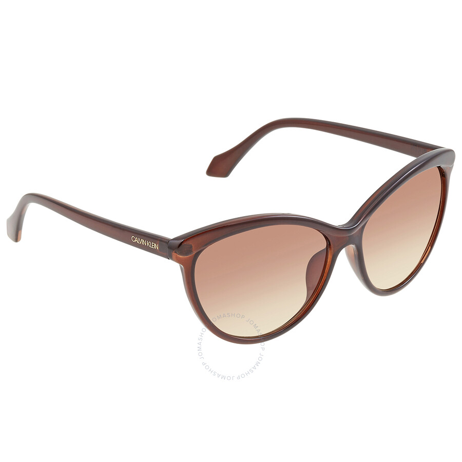 Shop Calvin Klein Brown Cat Eye Ladies Sunglasses Ck19534s 210 58