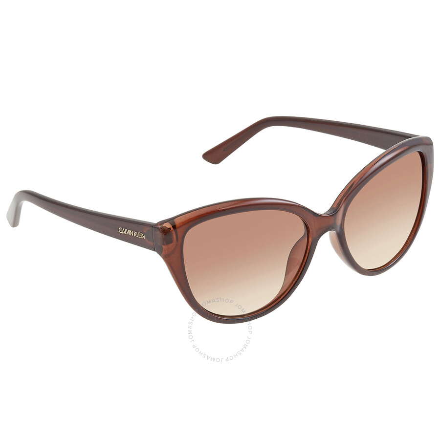 Calvin Klein Brown Gradient Cat Eye Ladies Sunglasses Ck19536s 210 55 In Brown