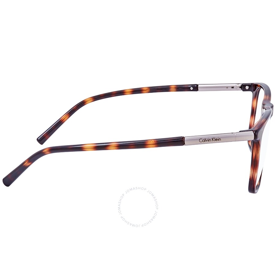 calvin klein havana glasses