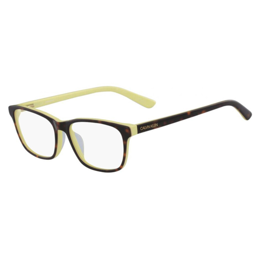 calvin klein tortoise glasses
