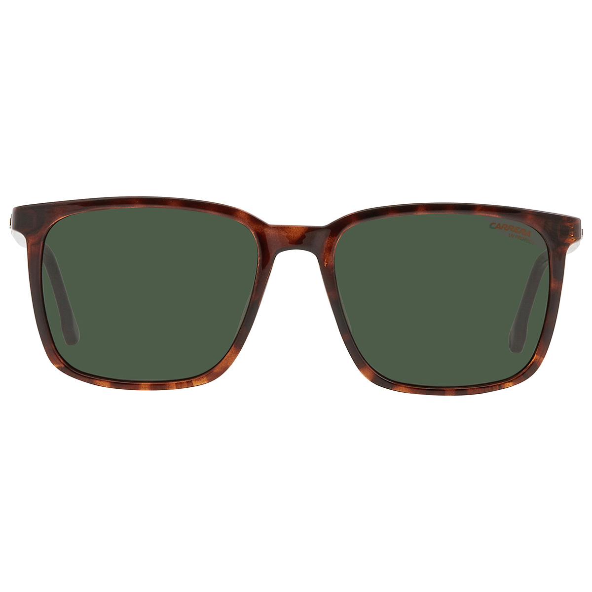 Carrera Green Square Men