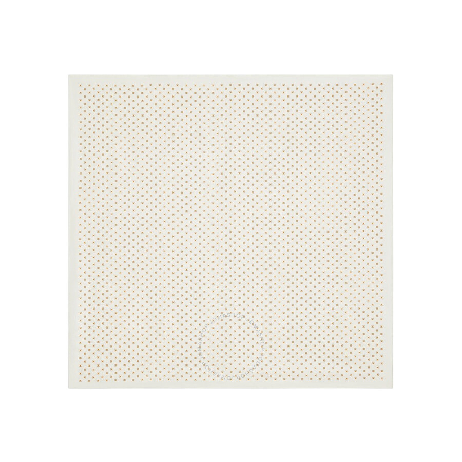 Celine Triomphe Silk Twill In Beige