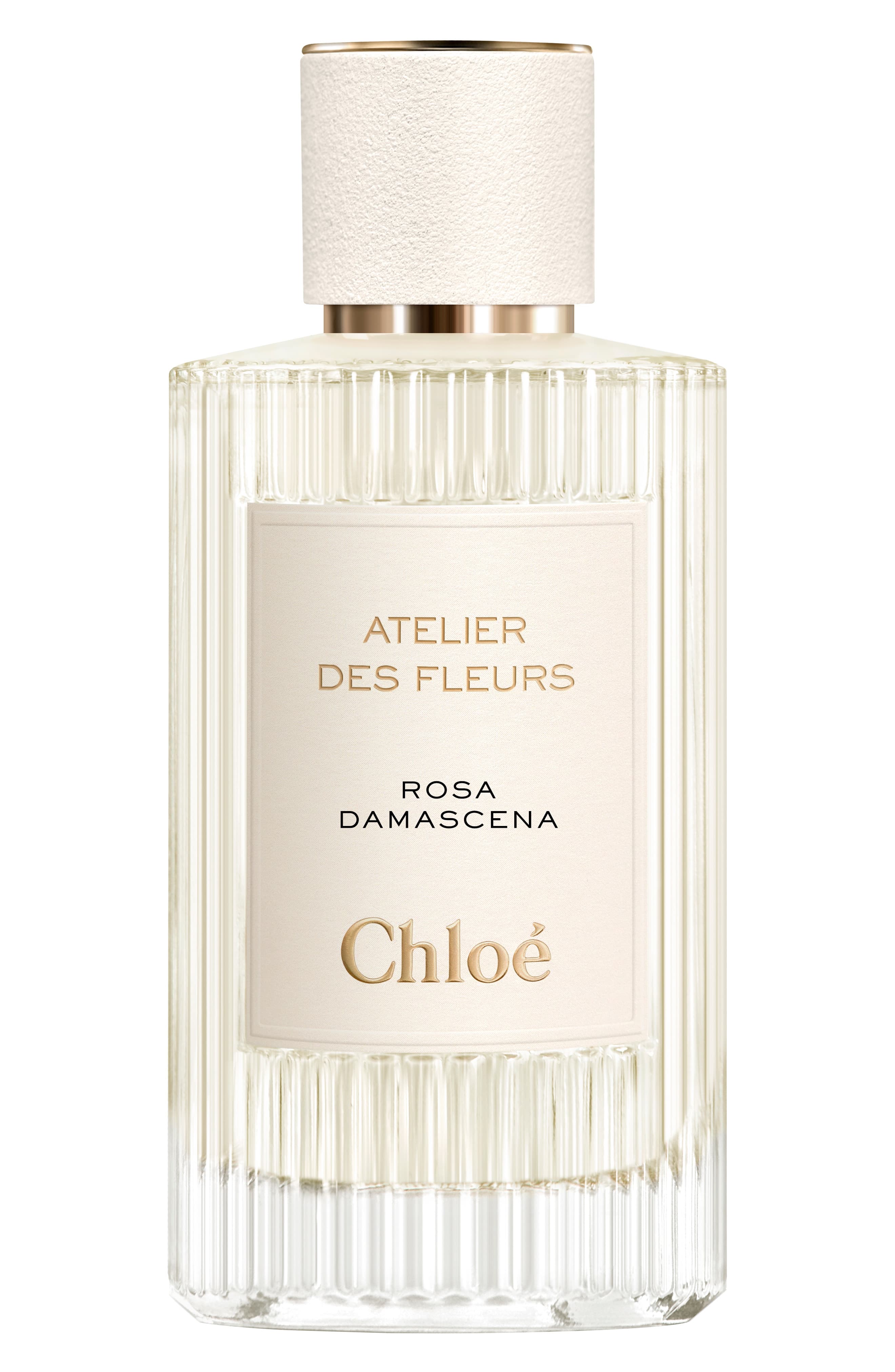 Chloé Ladies Rosa Damascena EDP Spray 5.0 oz Fragrances