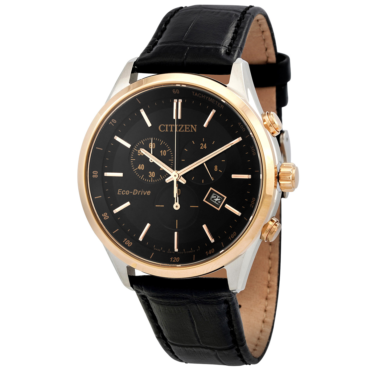 Citizen Black Dial Watch AT2144-11E