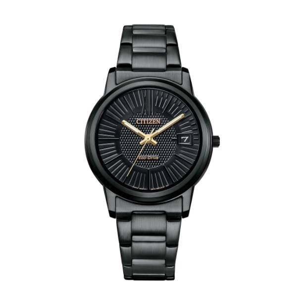Citizen Eco-Drive Black Dial Ladies Watch FE6017-85E