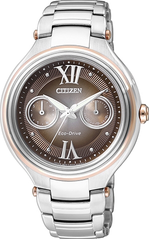 Citizen Eco-Drive Brown Dial Stainless Steel Ladies Watch FD4007-51W