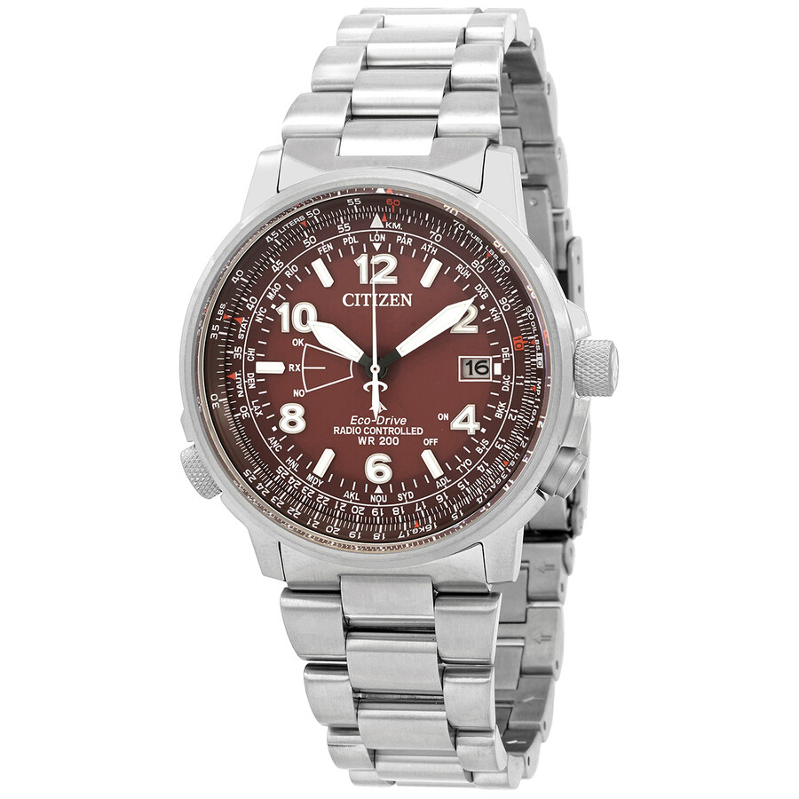 Citizen Perpetual World Time Watch CB0241-85X 4974374307682