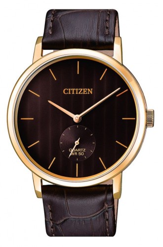 Citizen Quartz Brown Dial Watch BE9173-07X