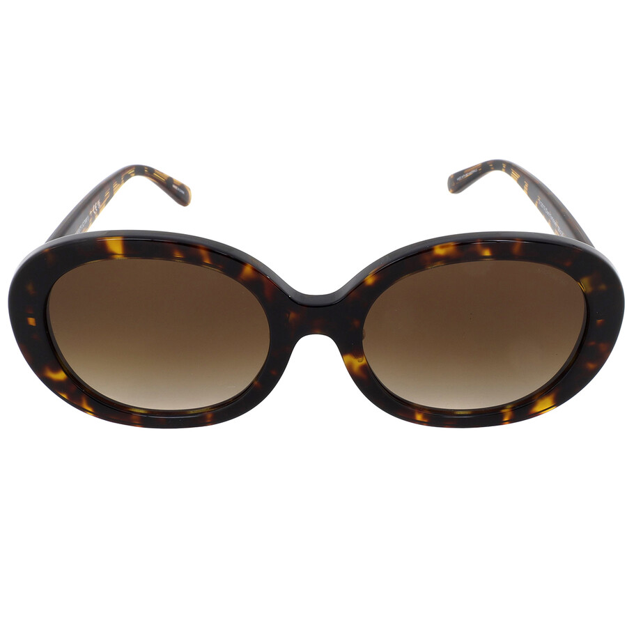 Coach Brown Gradient Oval Ladies Sunglasses HC8337F 512013 55