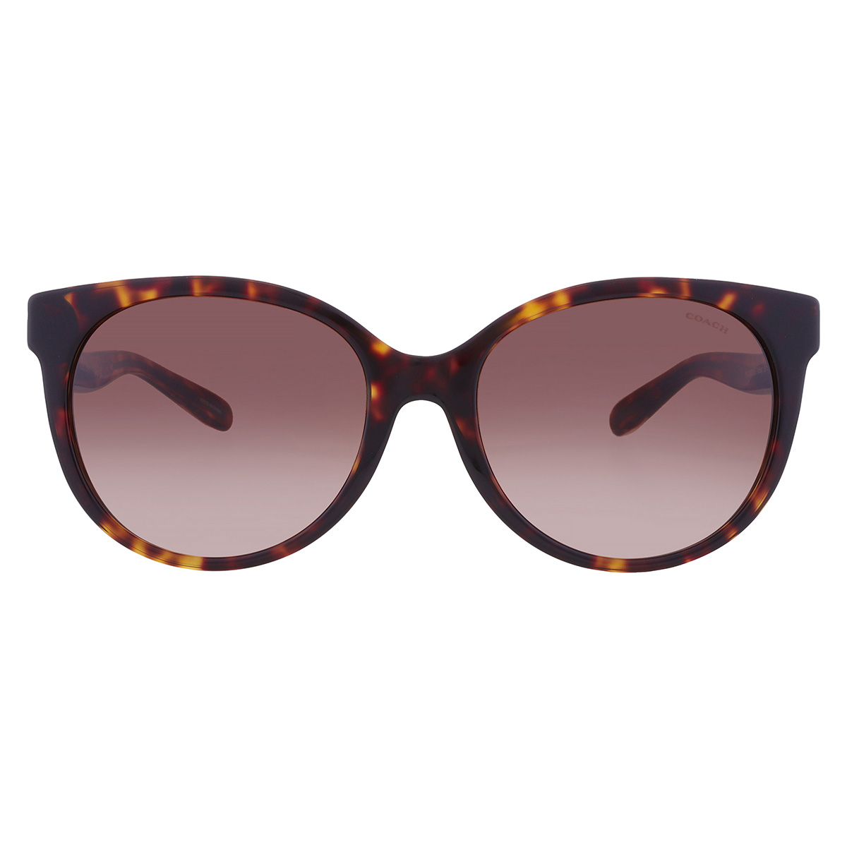 Coach Brown Gradient Round Ladies Sunglasses HC8321 51203B  display picture 3