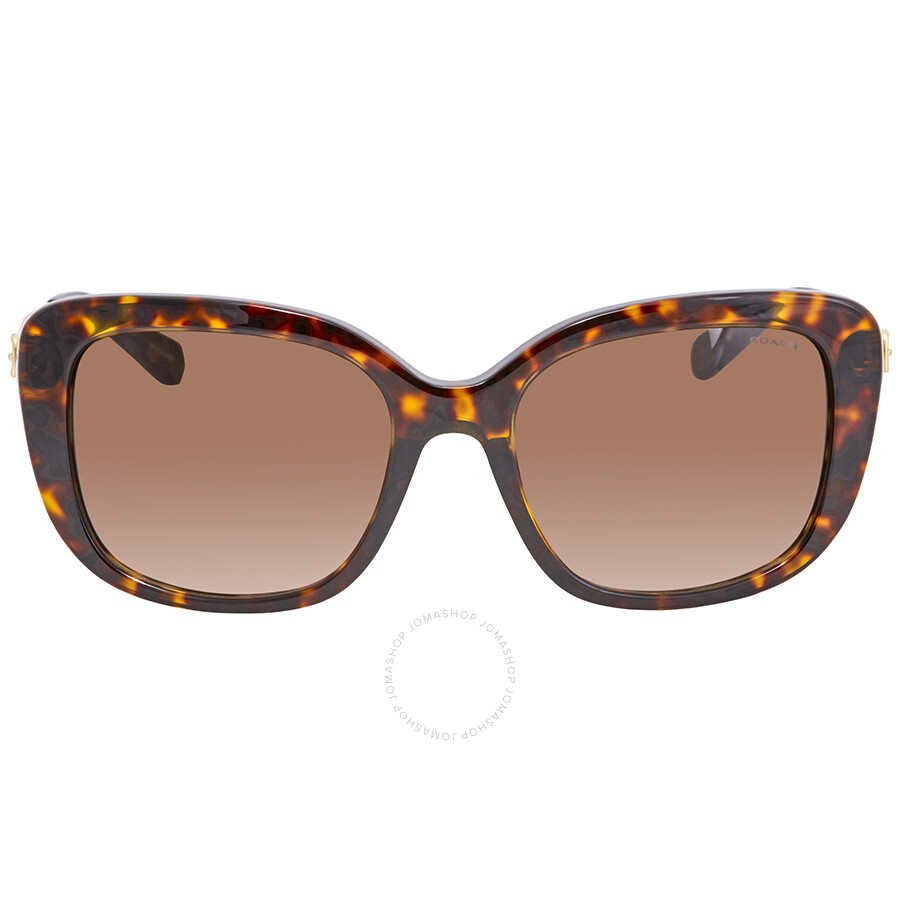 Coach Brown Gradient Sport Sunglasses HC8229F 548513 55 Coach Sunglasses