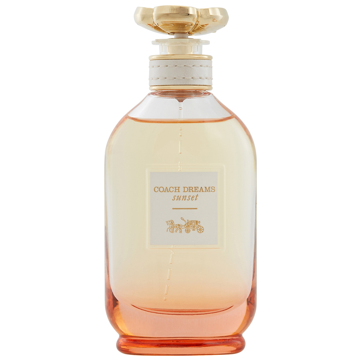 Coach Ladies Dreams Sunset EDP Body Spray 3 oz Fragrances