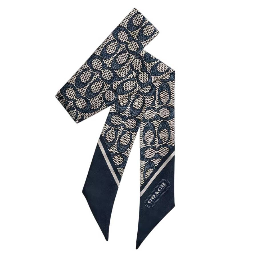 Signature Print Silk Scarf