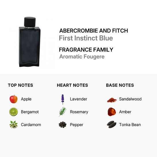 Abercrombie And Fitch Abercrombie Men's First Instict Blue EDT