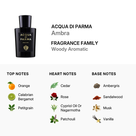 Acqua Di Parma Unisex Ambra EDP 6.1 oz Fragrances 8028713810725