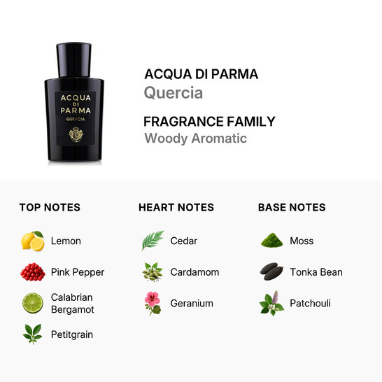 Acqua Di Parma Unisex Quercia EDP 6.1 oz Fragrances 8028713810824