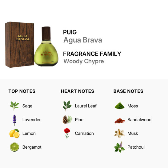 Agua Brava Cologne by Antonio Puig For Men Colognes 3.4 oz Agumcs34 - 546x546 Image #3