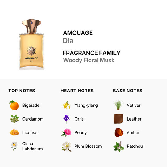 Amouage Men's Dia EDP Spray 3.4 oz (100 ml) 701666410034