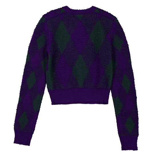 Burberry Argyle-Knit Long Sleeve Cropped Jumper, Size XX-Small