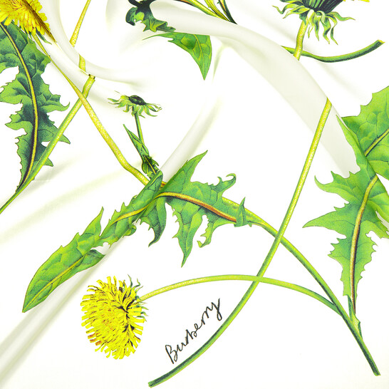 Burberry Dandelion Floral Print Silk Scarf 8082090
