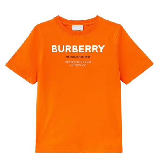 BURBERRY Tシャツ 国内セール☆BURBERRYバーバリーJAYSON 刺繍ネック ロゴTシャツ