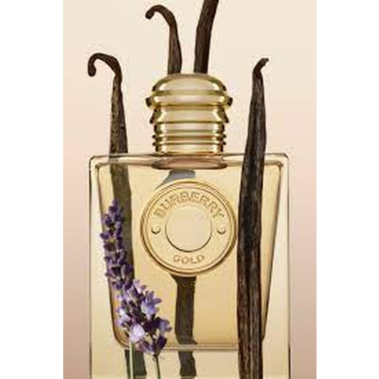 Burberry Ladies Gold EDP Spray 0.16 oz Fragrances 3616305806123