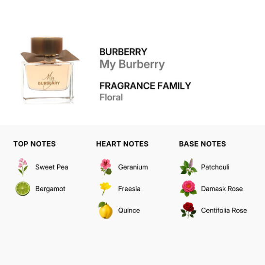 Burberry Ladies My Burberry EDP 3.0 oz (Tester) Fragrances 35086