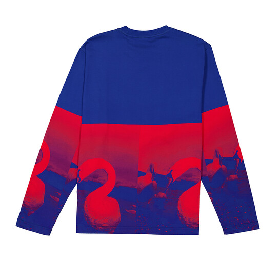 Tシャツ・カットソー Burberry FW23 SWAN PRINT T-SHIRT (8077333 B7830) Burberry Swan-Print Long-Sleeved T-Shirt, Size Large 8077333