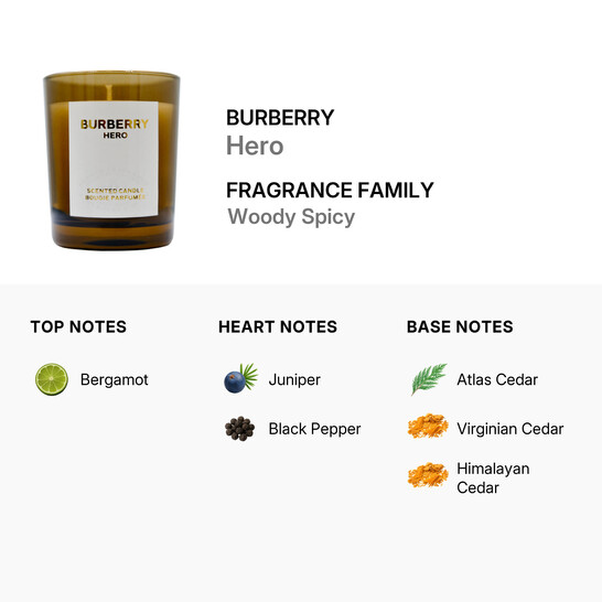 Burberry Men's Hero 2.46 oz Scented Candle 3616304140846