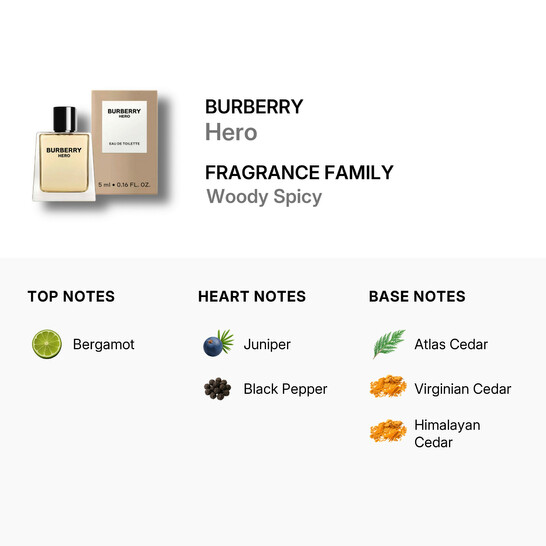 Burberry Men's Hero EDT 0.16 oz Fragrances 3614229380286