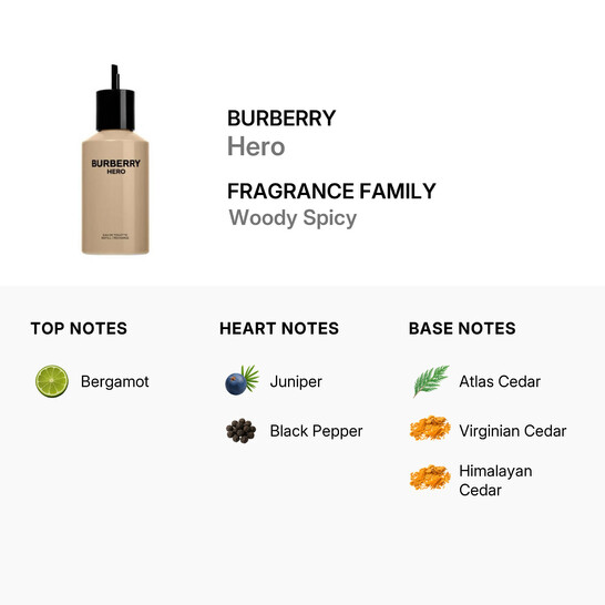 Burberry Men's Hero EDT 6.7 oz Refill Fragrances 3616304679483 - 546x546 Image #2