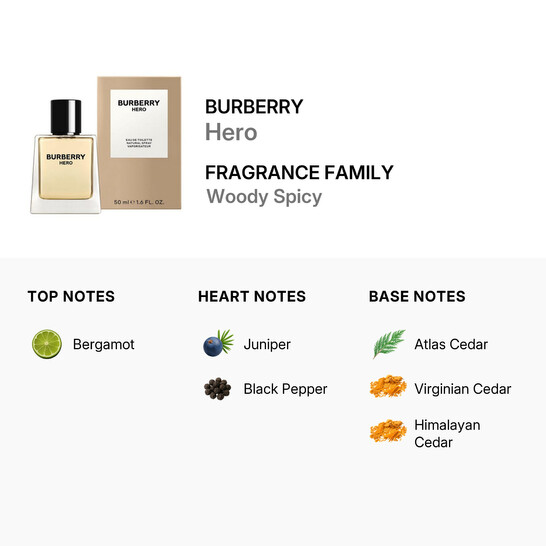 Burberry Men's Hero EDT Spray 1.7 oz Fragrances 3614229820782