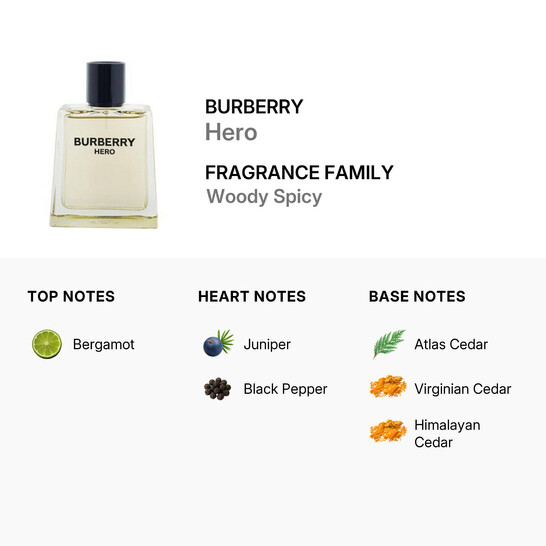 Burberry Men's Hero EDT Spray 3.3 oz Fragrances 3614229820799