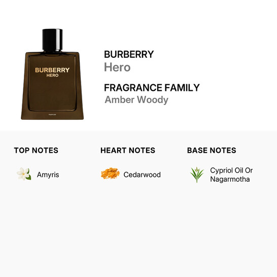 Burberry Men's Hero Parfum 3.3 oz (Tester) Fragrances