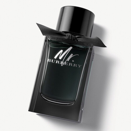 mr burberry for men
