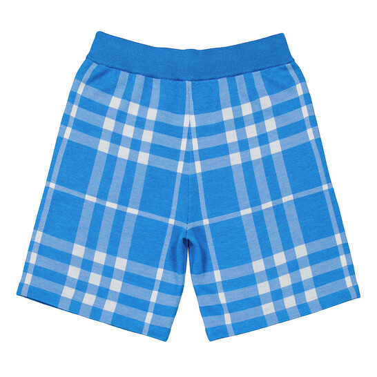 Burberry Weaver Check-Print Bermuda Shorts, Size XX-Small 8065680