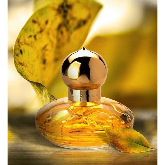 Eau De Parfum Wish Chopard MÃ¼ller Chanel Parfum MÃ¼ller Casmir