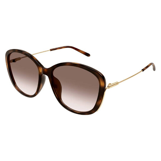 Chloé Brown Gradient Butterfly Ladies Sunglasses CH0175SK  display picture 2