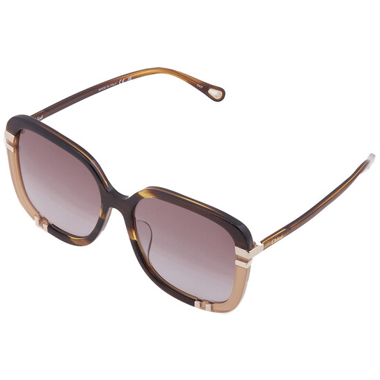 Chloé Brown Square Ladies Sunglasses CH0106SA 006 59