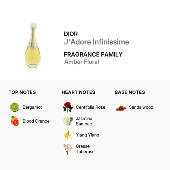 Dior Christian Dior Ladies J'Adore Infinissime EDP Spray 3.4 oz